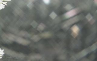 Sromowce Wyżne Flisacy - 02-02-2026 05:05