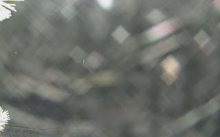 Sromowce Wyżne Flisacy - 02-02-2026 05:20