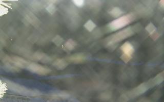 Sromowce Wyżne Flisacy - 02-02-2026 05:27