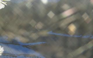 Sromowce Wyżne Flisacy - 02-02-2026 05:35