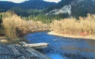 Sromowce Wyżne Flisacy - 21-03-2026 15:24