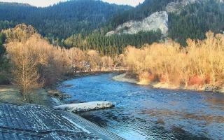 Sromowce Wyżne Flisacy - 21-03-2026 16:02