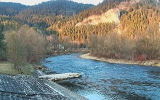 Sromowce Wyżne Flisacy - 21-03-2026 16:25