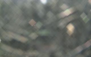 Sromowce Wyżne Flisacy - 21-03-2026 17:41