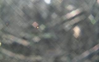 Sromowce Wyżne Flisacy - 21-03-2026 18:49