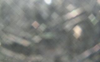 Sromowce Wyżne Flisacy - 21-03-2026 19:04