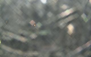 Sromowce Wyżne Flisacy - 22-03-2026 02:17