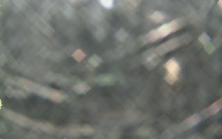 Sromowce Wyżne Flisacy - 22-03-2026 03:25