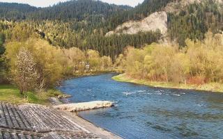 Sromowce Wyżne Flisacy - 28-04-2026 15:27