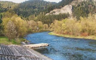 Sromowce Wyżne Flisacy - 28-04-2026 15:34