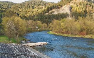 Sromowce Wyżne Flisacy - 28-04-2026 15:42