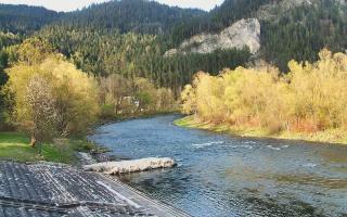 Sromowce Wyżne Flisacy - 28-04-2026 16:20