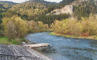 Sromowce Wyżne Flisacy - 28-04-2026 16:27