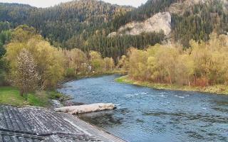 Sromowce Wyżne Flisacy - 28-04-2026 16:42