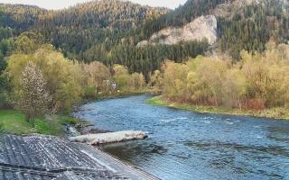 Sromowce Wyżne Flisacy - 28-04-2026 16:50