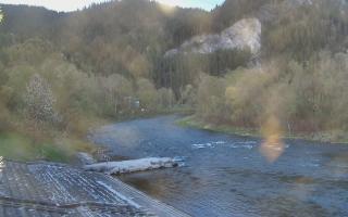 Sromowce Wyżne Flisacy - 28-04-2026 18:06