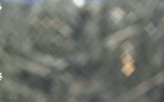 Sromowce Wyżne Flisacy - 28-04-2026 18:36