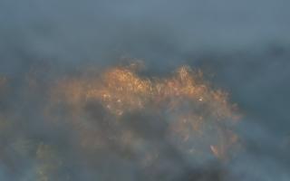 Sopot bosmanat molo - 14-01-2026 15:07