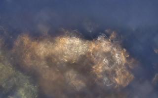 Sopot bosmanat molo - 14-01-2026 15:30