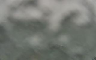 Sopot bosmanat molo - 26-01-2026 11:11