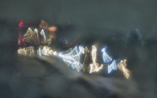 Sopot bosmanat molo - 06-02-2026 00:19