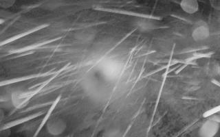 Kasprowy Wierch Hala Gąsienicowa - 01-08-2025 23:13