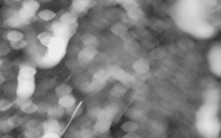 Kasprowy Wierch Hala Gąsienicowa - 03-11-2025 16:23