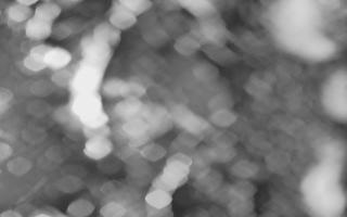 Kasprowy Wierch Hala Gąsienicowa - 03-11-2025 16:48