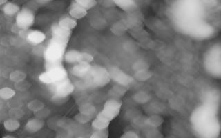 Kasprowy Wierch Hala Gąsienicowa - 03-11-2025 16:57