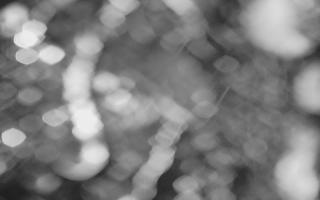 Kasprowy Wierch Hala Gąsienicowa - 03-11-2025 17:05