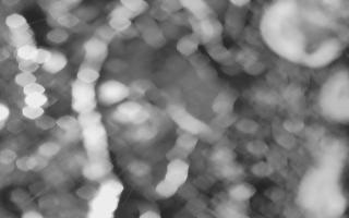 Kasprowy Wierch Hala Gąsienicowa - 03-11-2025 17:21