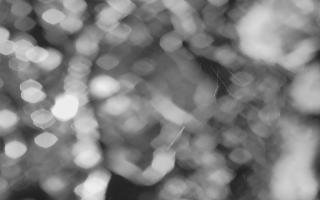 Kasprowy Wierch Hala Gąsienicowa - 03-11-2025 17:30