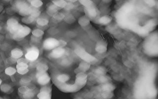 Kasprowy Wierch Hala Gąsienicowa - 03-11-2025 17:38