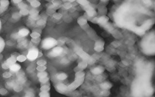 Kasprowy Wierch Hala Gąsienicowa - 03-11-2025 17:46