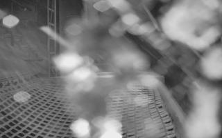 Kasprowy Wierch Hala Gąsienicowa - 03-11-2025 18:28