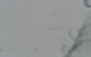 Kasprowy Wierch Hala Gąsienicowa - 26-10-2026 13:46