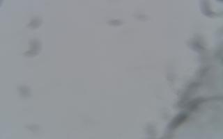 Kasprowy Wierch Hala Gąsienicowa - 26-10-2026 14:27