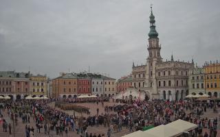 Zamość - 11-11-2025 11:08