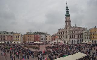 Zamość - 11-11-2025 11:29