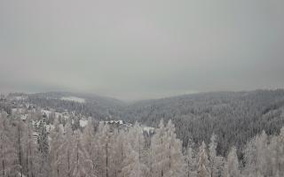 Bukovina - Panorama - 12-12-2024 11:14