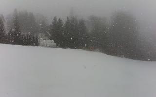 Kotlinka Szymbark - 28-02-2025 13:41