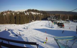 Diament - Zieleniec - 31-12-2024 11:14