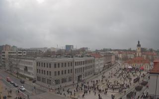 Białystok #1 - 11-11-2025 11:07