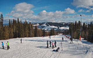 Kaniówka górna stacja - 13-02-2026 11:23