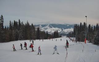 Kaniówka górna stacja - 19-02-2026 09:50