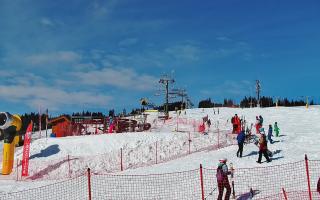 Strachan - Dolna #2 - 12-02-2026 11:07